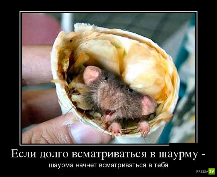 ������������ �� ������� 12 (31 ����)