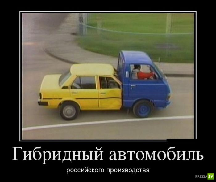 ������������ �� ������� 12 (31 ����)