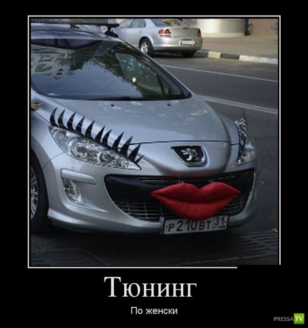 ������������ �� ������� 12 (31 ����)