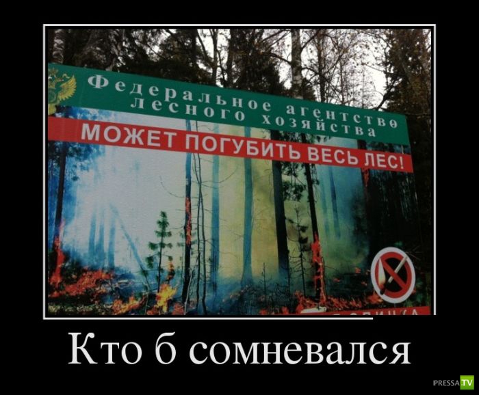 ������������ �� ������� 12 (31 ����)