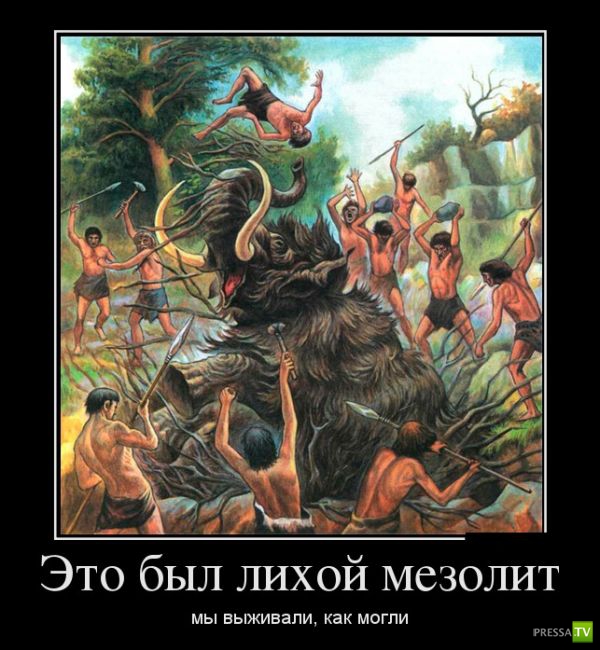 ������������ �� ������� 12 (31 ����)