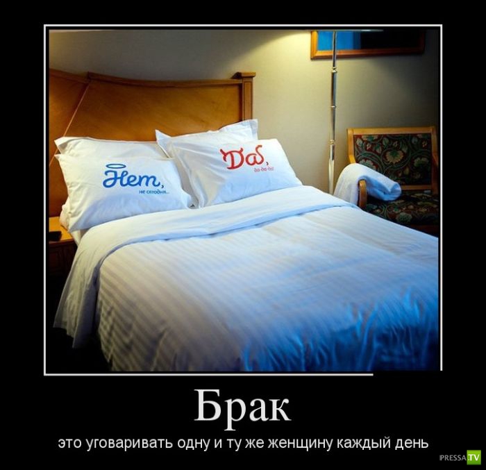 ������������ �� ������� 12 (31 ����)