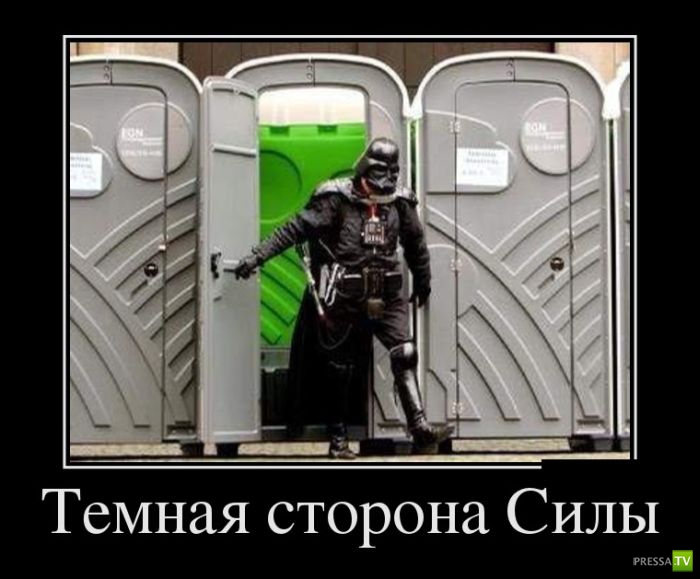 ������������ �� ������� 12 (31 ����)