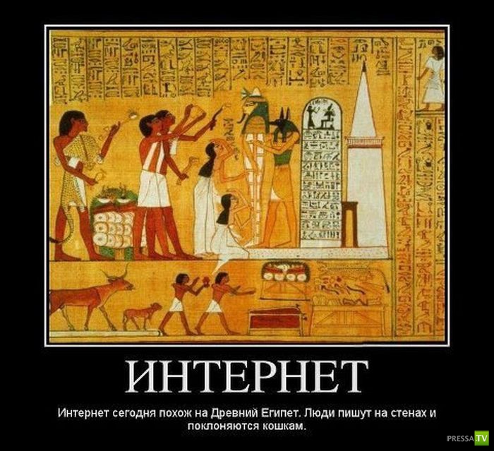 ������������ �� ������� 12 (31 ����)