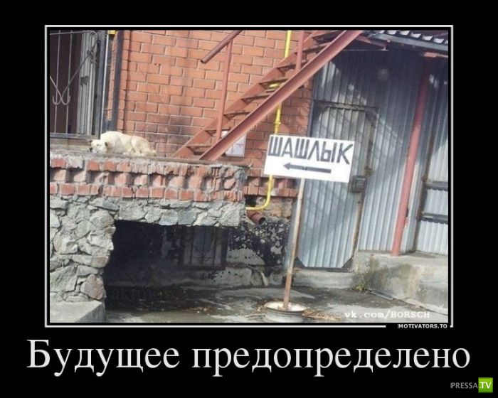 ������������ �� ������� 12 (31 ����)