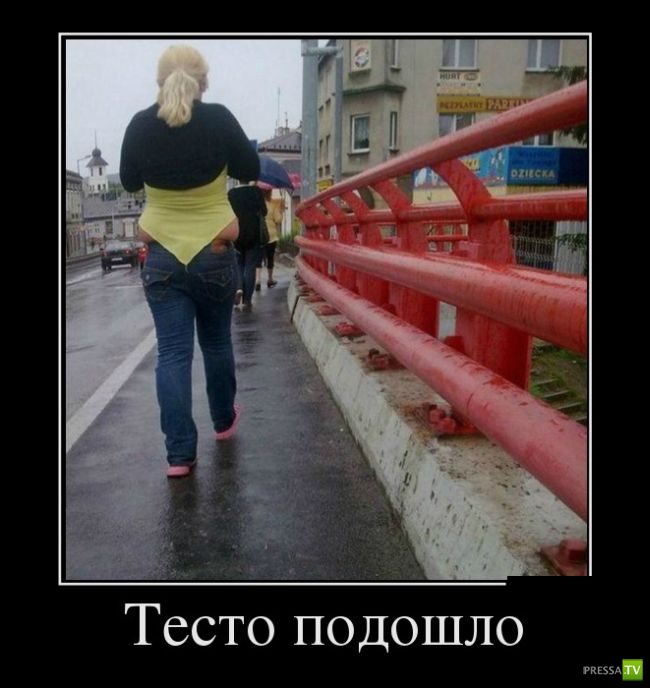 ������������ �� ������� 15 (29 ����)