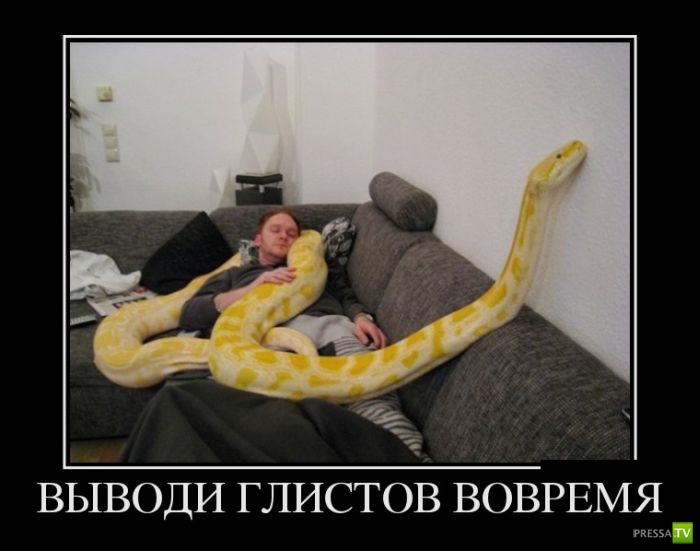 ������������ �� ������� 15 (29 ����)