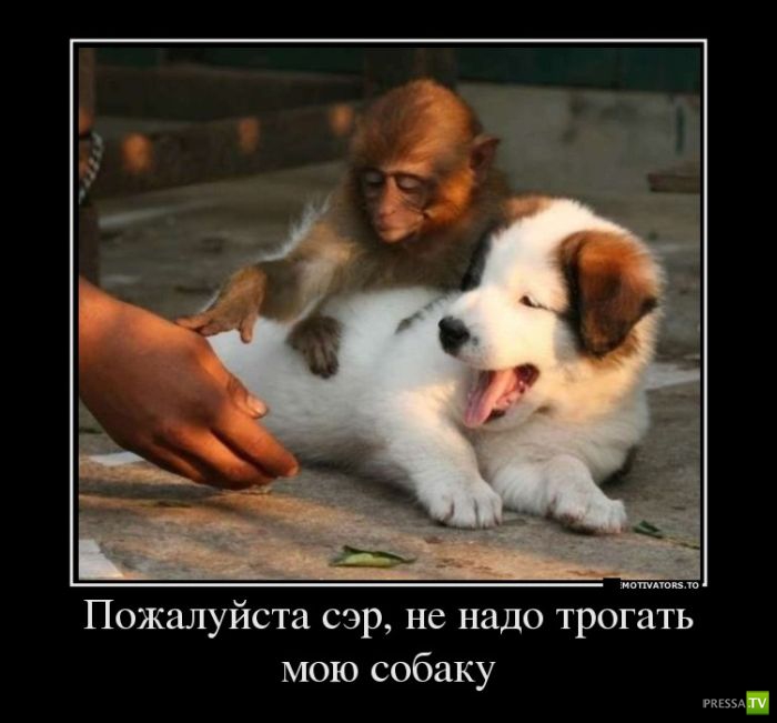 ������������ �� ������� 15 (29 ����)