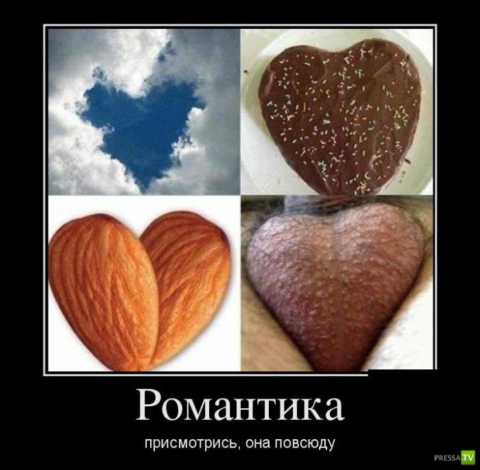 ������������ �� ������� 15 (29 ����)