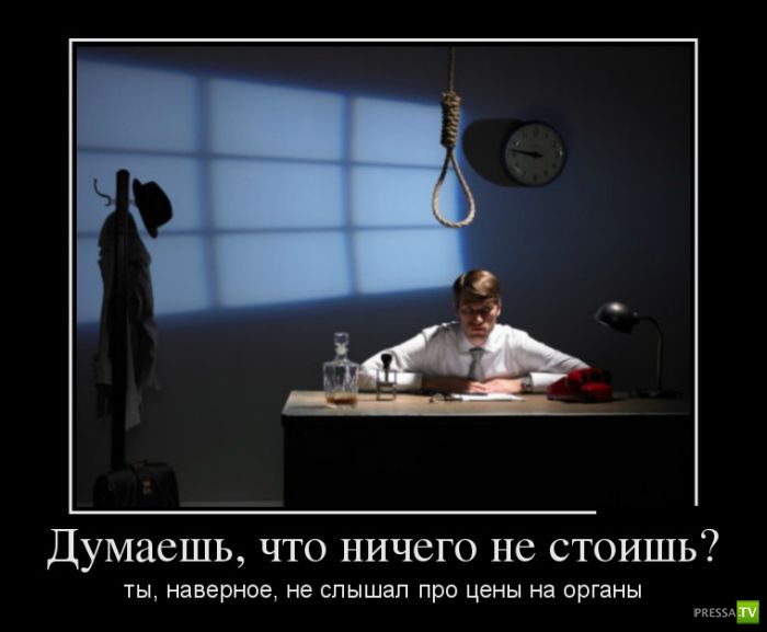 ������������ �� ������� 15 (29 ����)