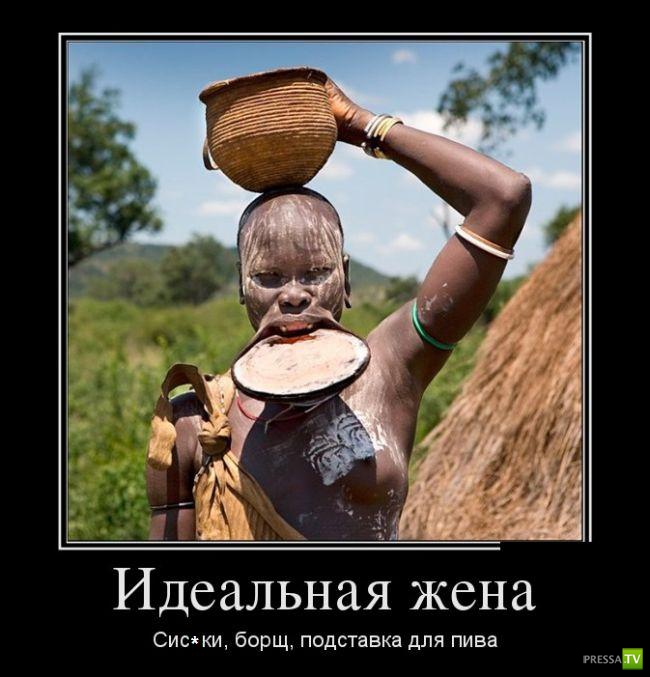 ������������ �� ������� 15 (29 ����)