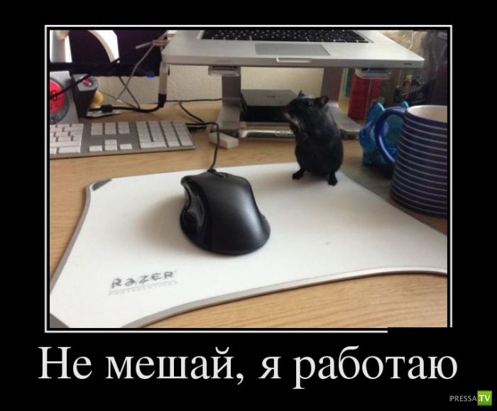 ������������ �� ������� 15 (29 ����)