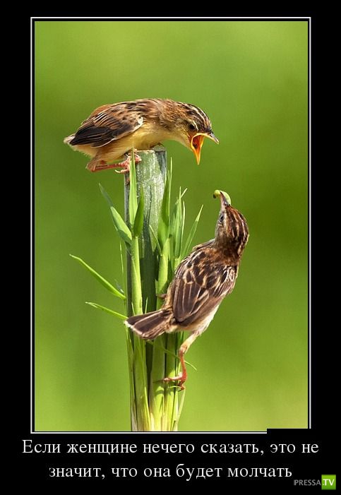 ������������ �� ������� 15 (29 ����)