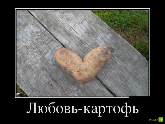 ������������ �� ������� 15 (29 ����)