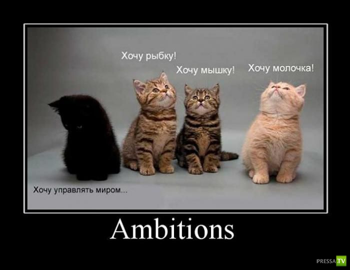 ������������ �� ������� 16 (31 ����)