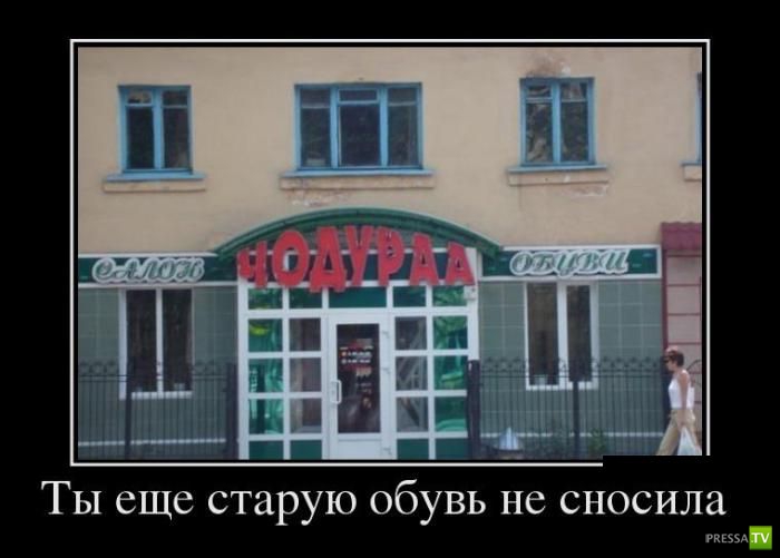 ������������ �� ������� 16 (31 ����)