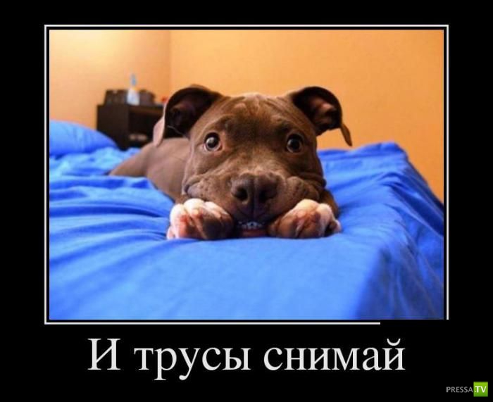 ������������ �� ������� 16 (31 ����)