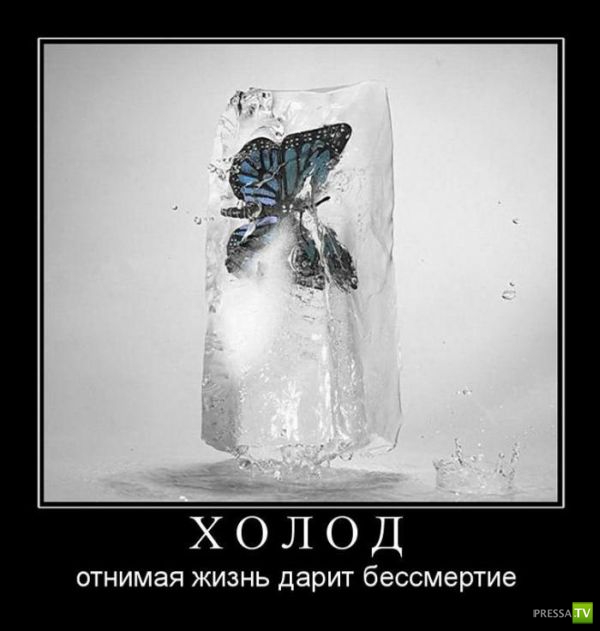 ������������ �� ������� 16 (31 ����)