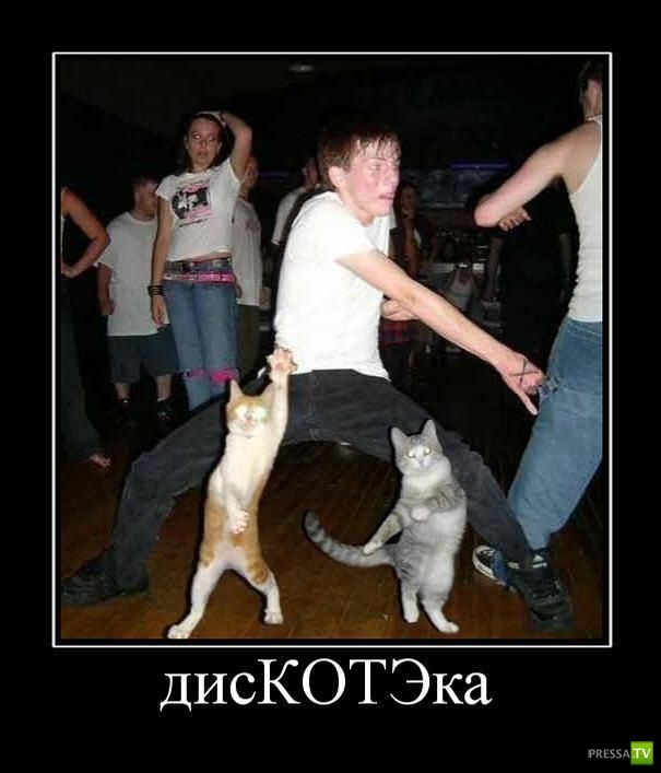 ������������ �� ������� 16 (31 ����)