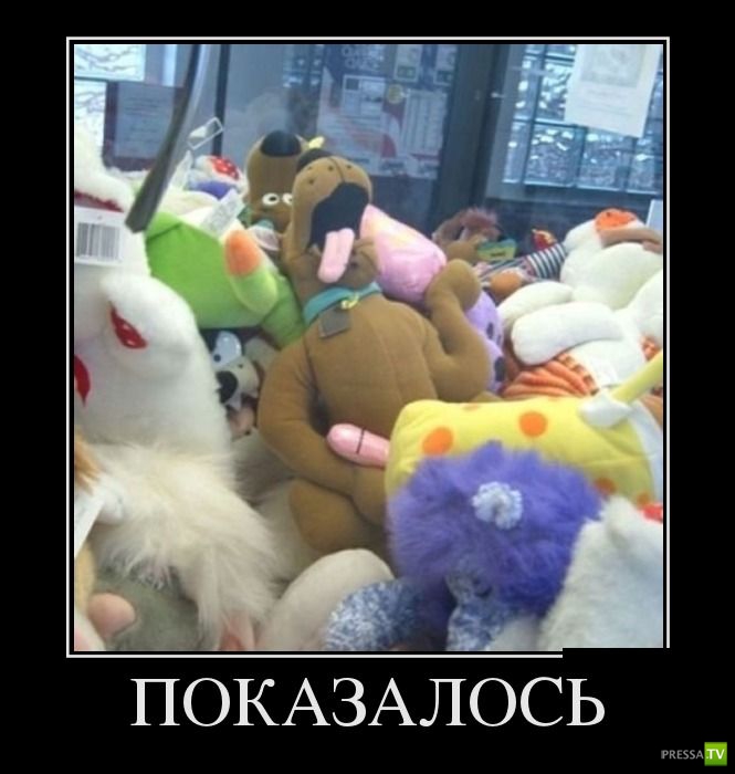 ������������ �� ������� 17 (30 ����)