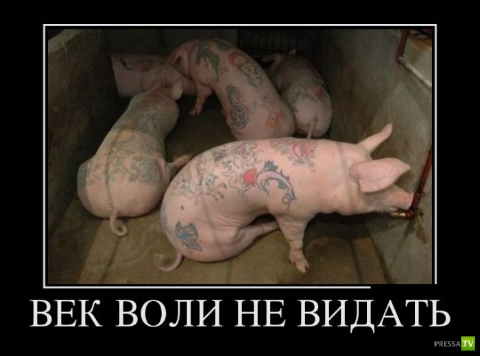 ������������ �� ������� 17 (30 ����)