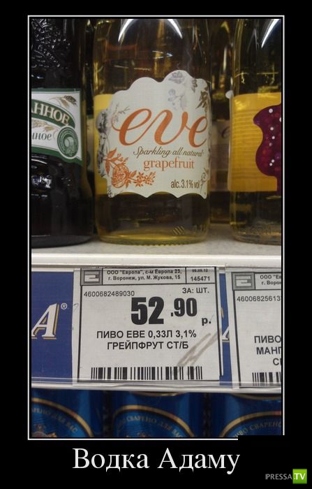 ������������ �� ������� 17 (30 ����)