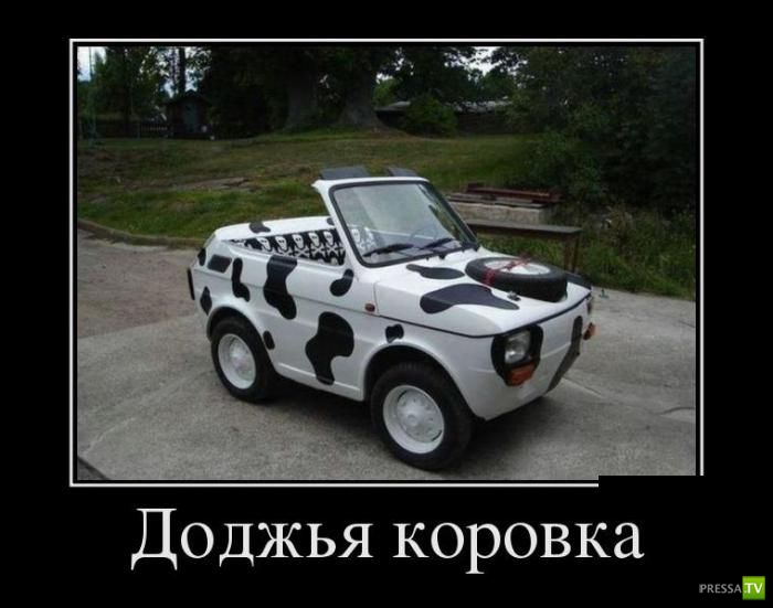 ������������ �� ������� 17 (30 ����)