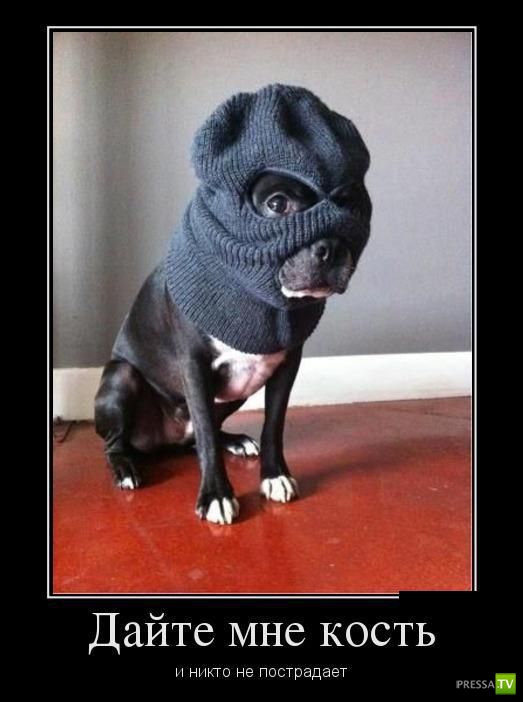 ������������ �� ������� 17 (30 ����)