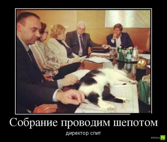 ������������ �� ������� 18 (30 ����)