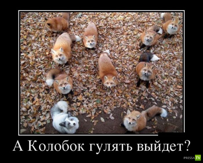 ������������ �� ������� 18 (30 ����)