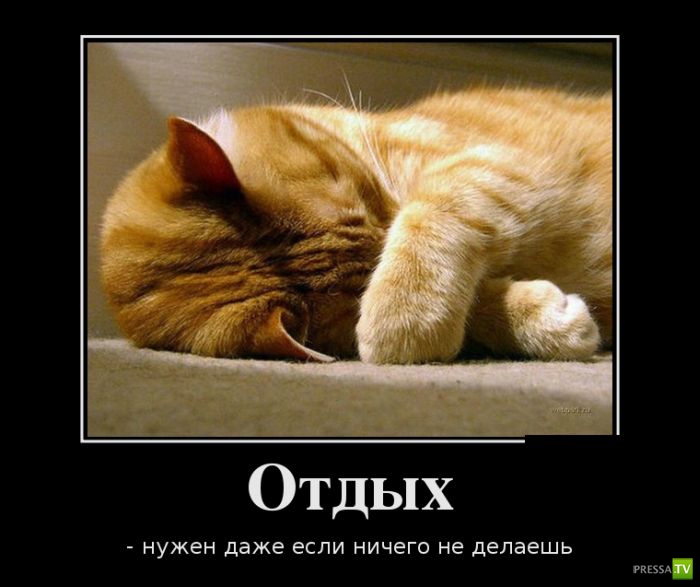 ������������ �� ������� 18 (30 ����)