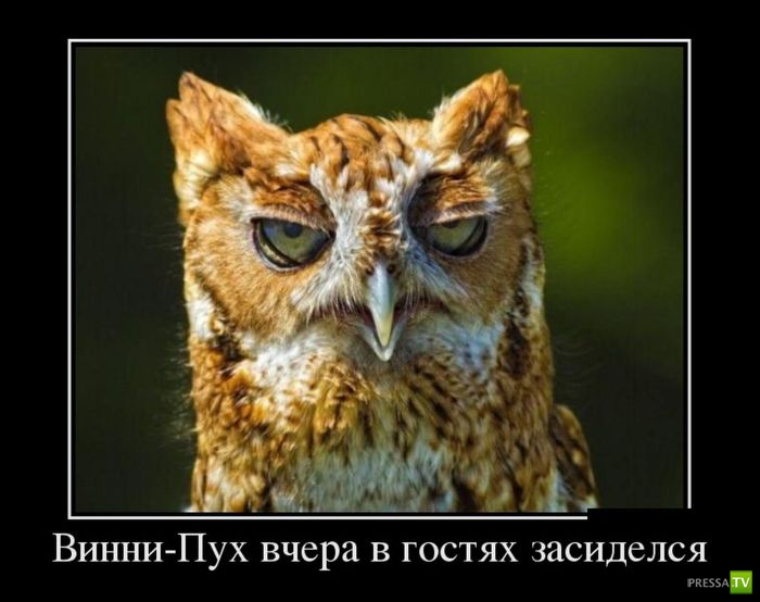 ������������ �� ������� 18 (30 ����)