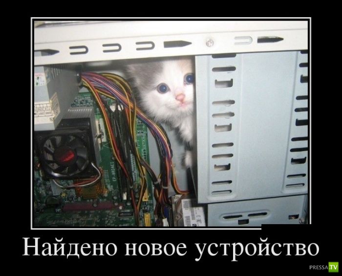 ������������ �� ������� 19 (30 ����)