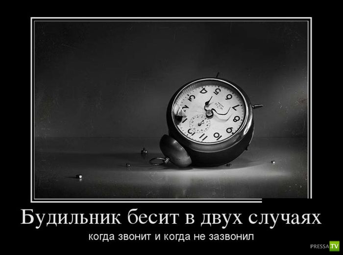 ������������ �� ������� 19 (30 ����)