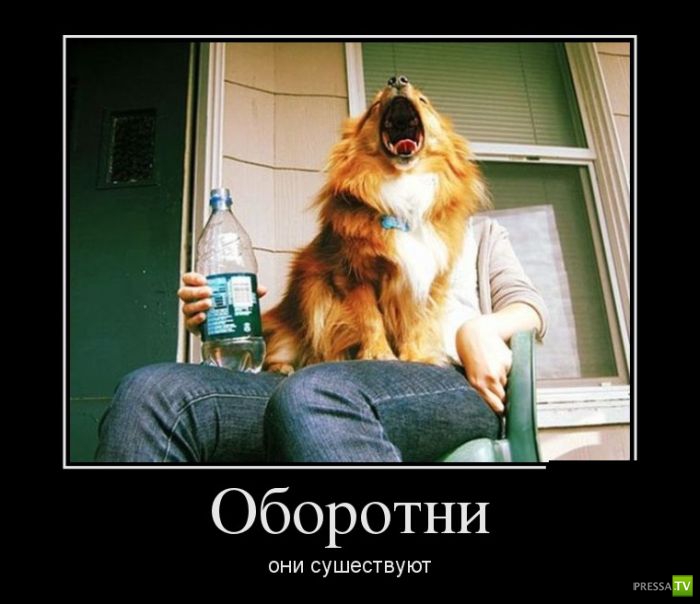 ������������ �� ������� 19 (30 ����)