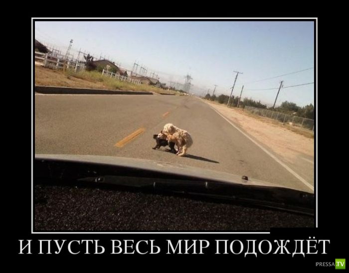 ������������ �� ������� 19 (30 ����)