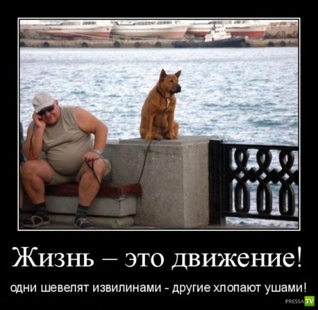 ������������ �� ������� 22 (30 ����)