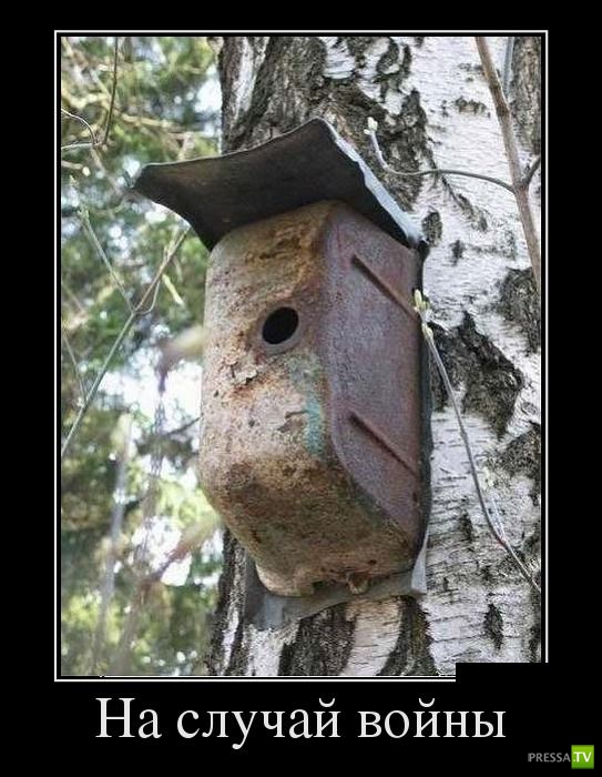 ������������ �� ������� 23 (30 ����)