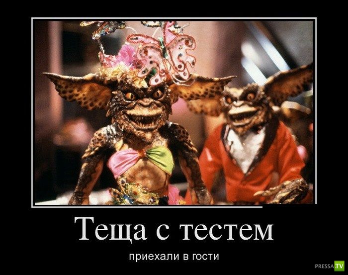 ������������ �� ������� 23 (30 ����)