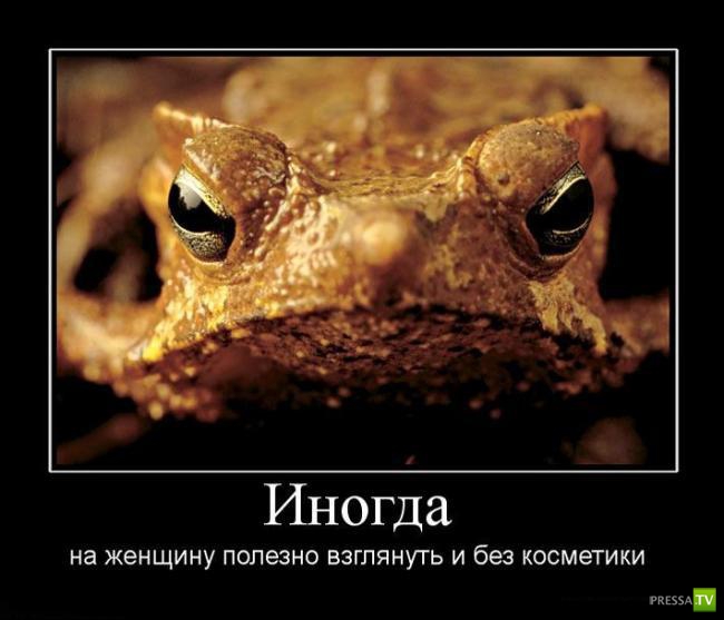 ������������ �� ������� 23 (30 ����)