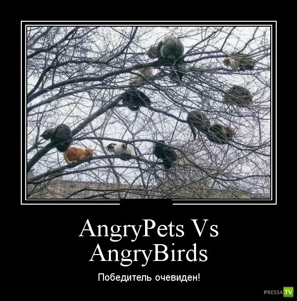 ������������ �� ������� 24 (30 ����)