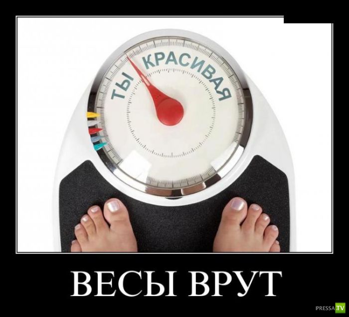 ������������ �� ������� 24 (30 ����)