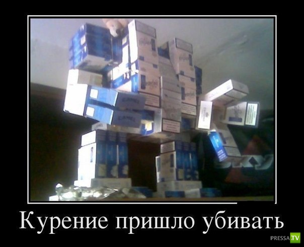 ������������ �� ������� 24 (30 ����)