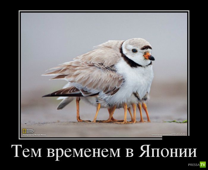 ������������ �� ������� 24 (30 ����)