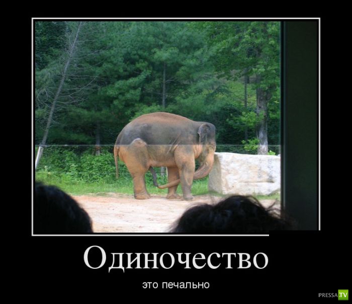 ������������ �� ������� 24 (30 ����)