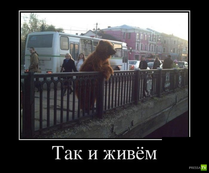 ������������ �� ������� 24 (30 ����)