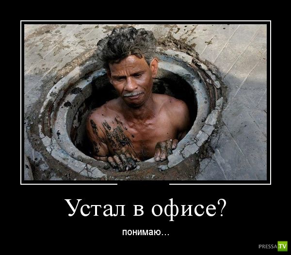 ������������ �� ������� 24 (30 ����)