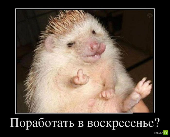 ������������ �� ������� 24 (30 ����)