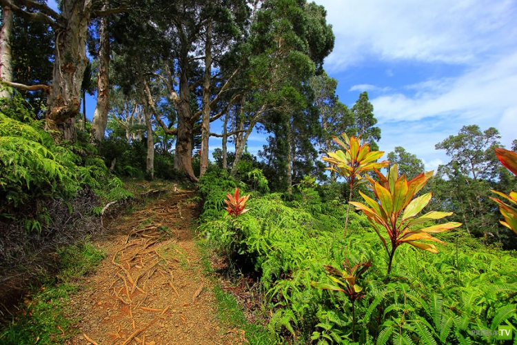    GARDEN OF EDEN ARBORETUM and BOTANICAL GARDEN   (33 )