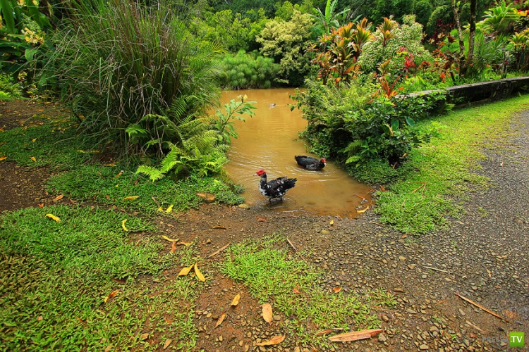    GARDEN OF EDEN ARBORETUM and BOTANICAL GARDEN   (33 )